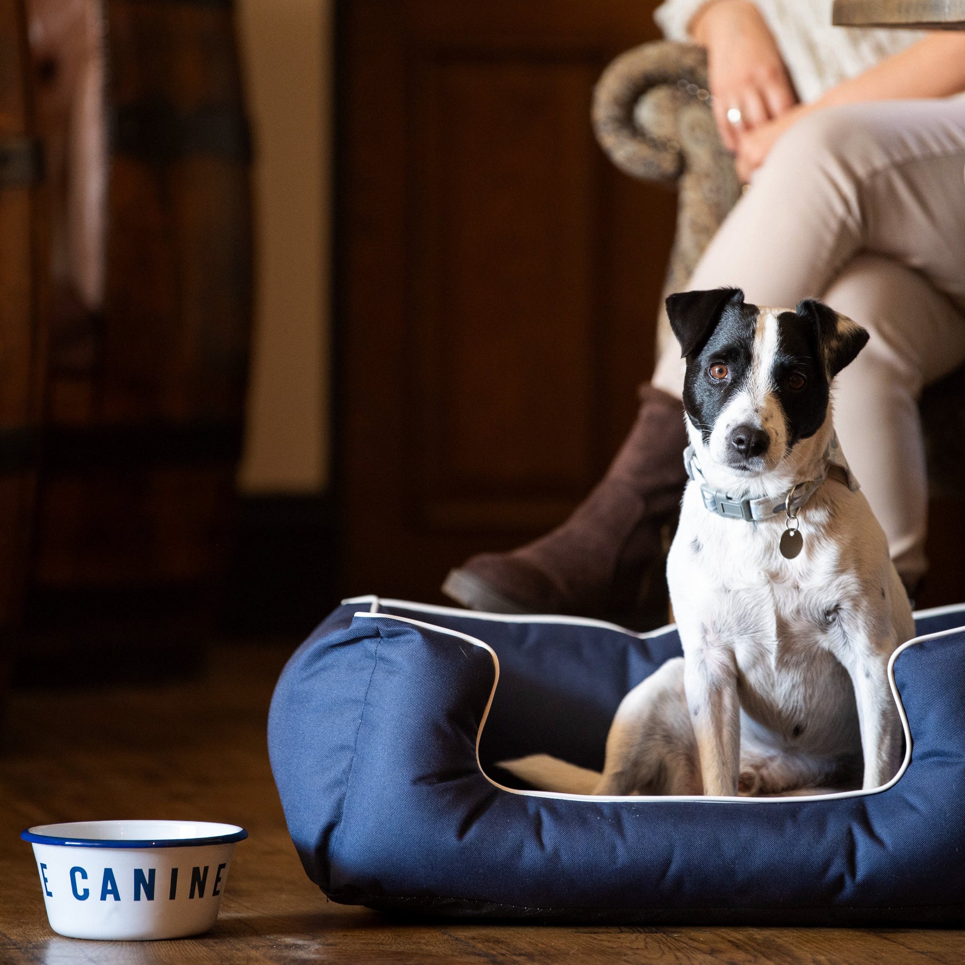 Branded enamel dog bowl image 2