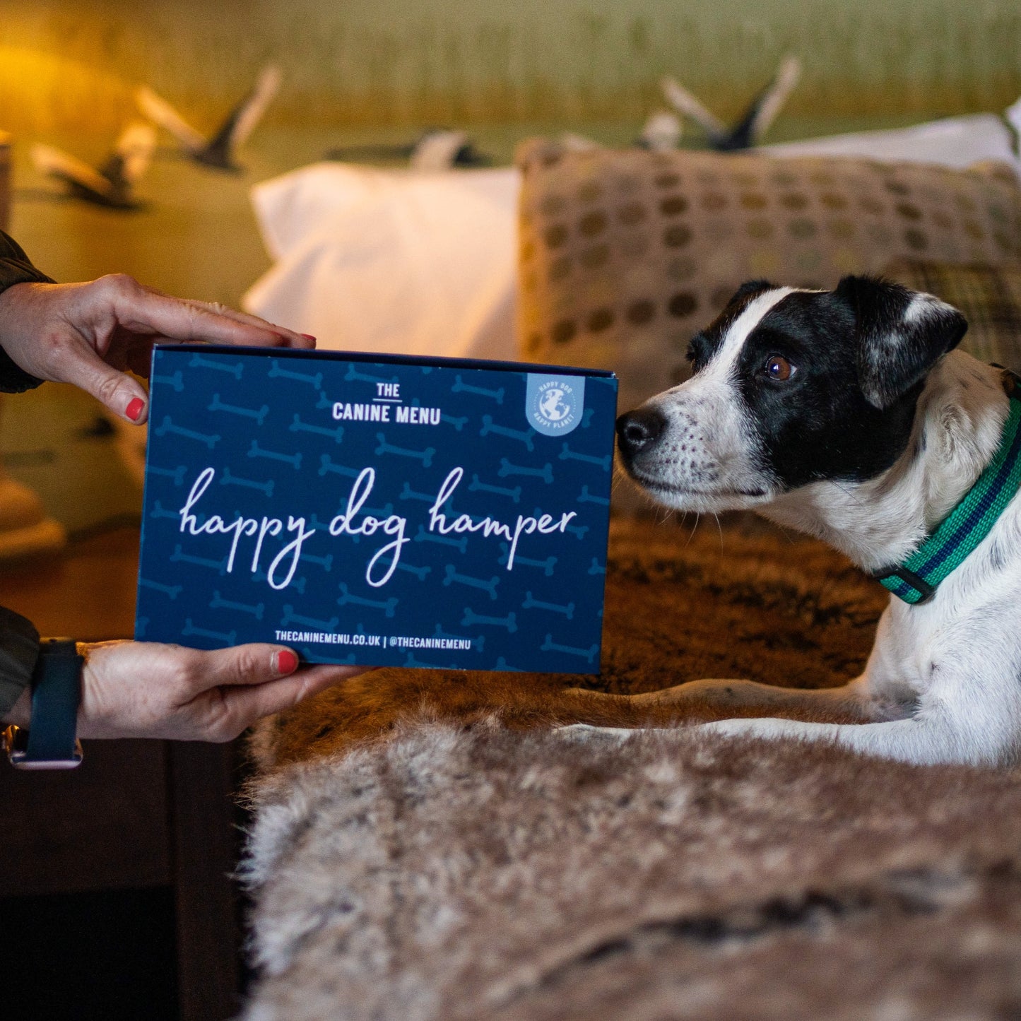 Happy Dog Hamper (6 units) image 1